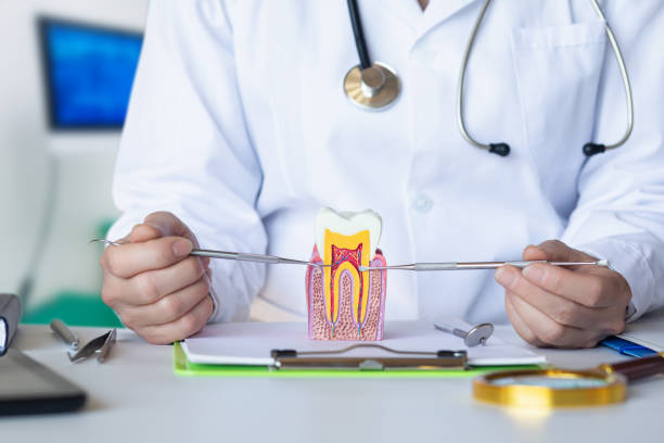 Best Pediatric Emergency Dentist in Thomasboro, IL